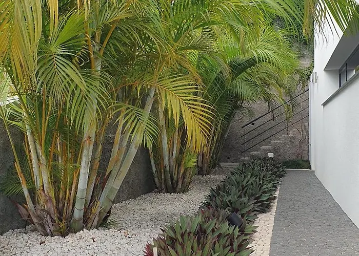 Villa Brava Atlântico